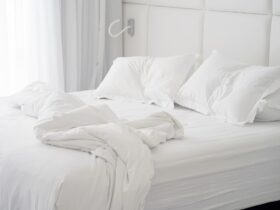 faire l'amour avec un coussin